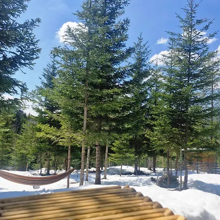 Pineta Chalé Nisici